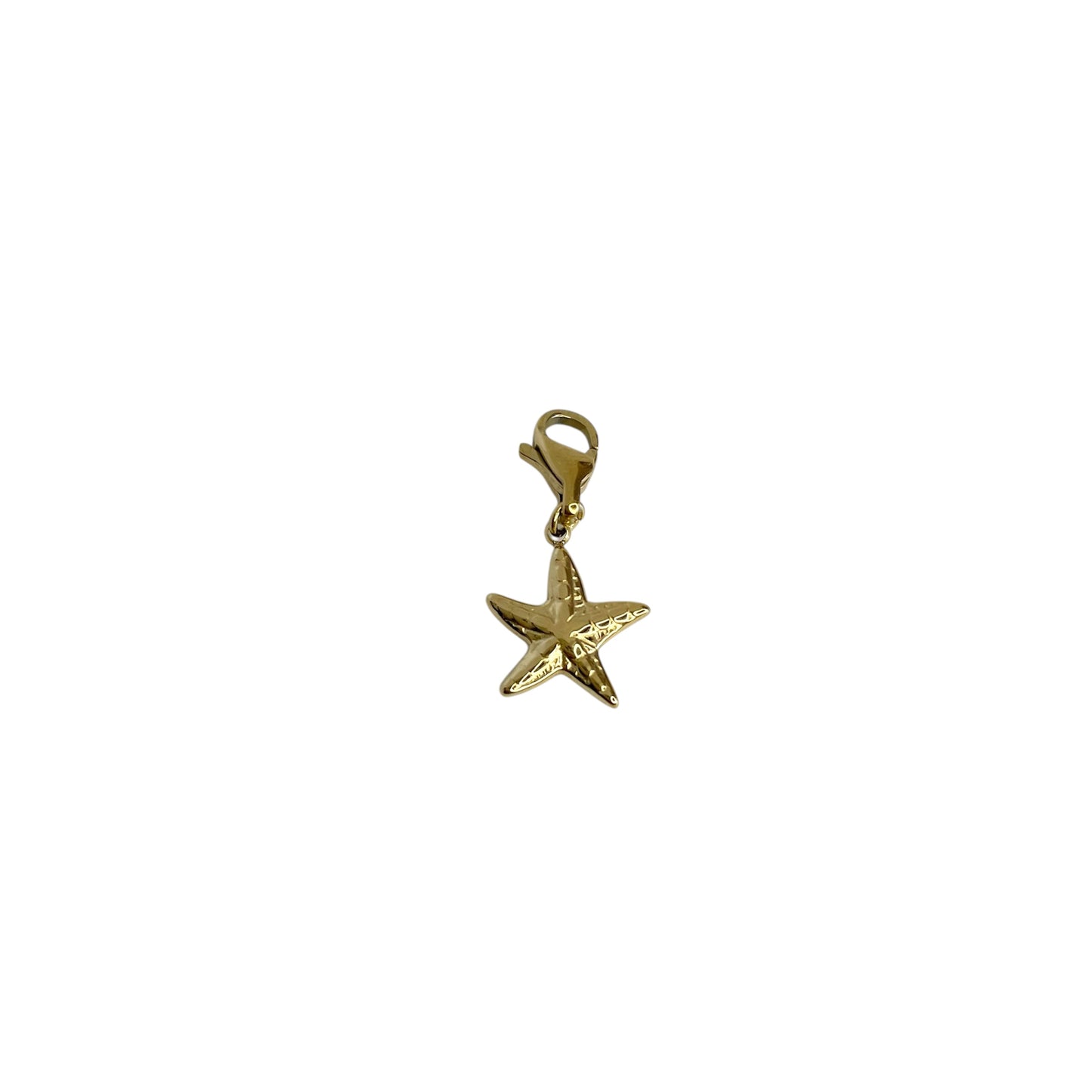 CHARM ETOILE DE MER